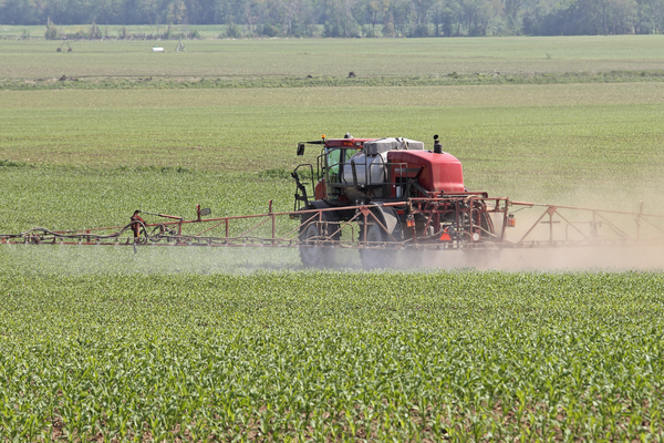 Spraying Corn