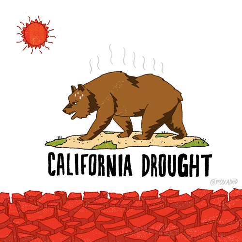 Drought