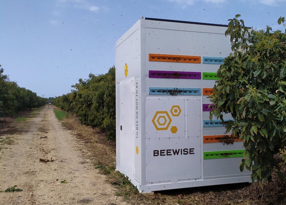 Beewise
