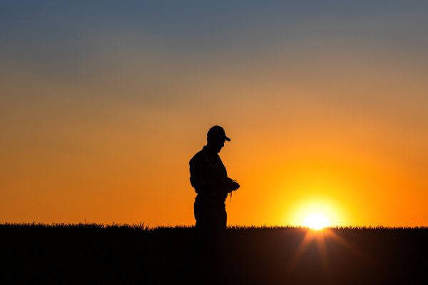 Farmer Scouting Crops