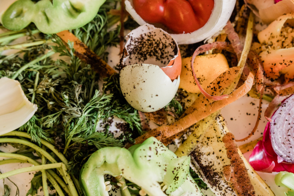 Food Waste