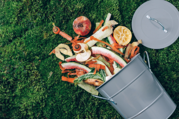 Food Waste