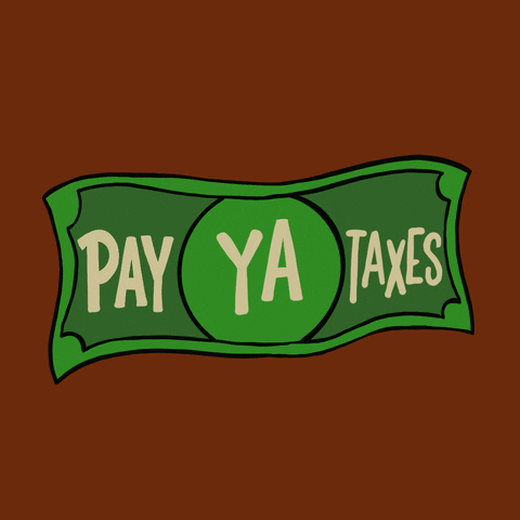 Pay Ya Taxes