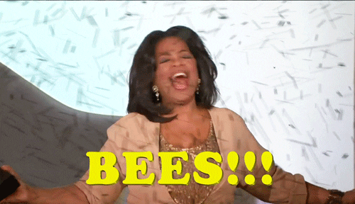 Oprah Bees