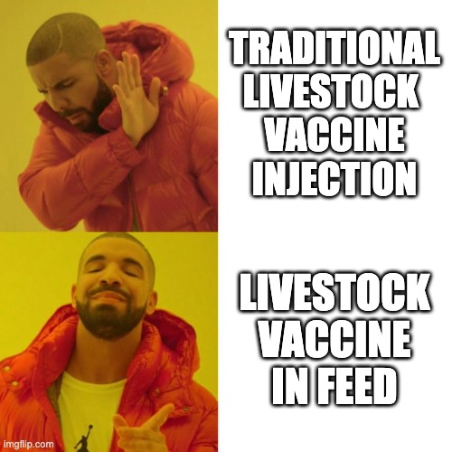 Mazen Animal Health