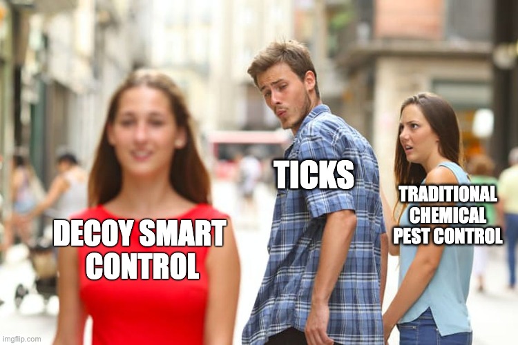 Ticks