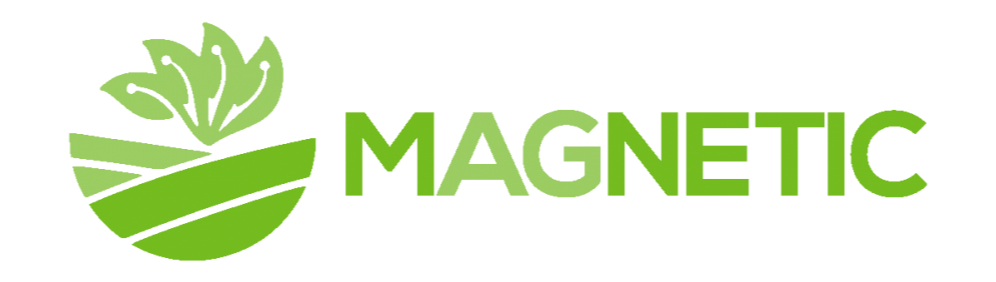 Magnetic