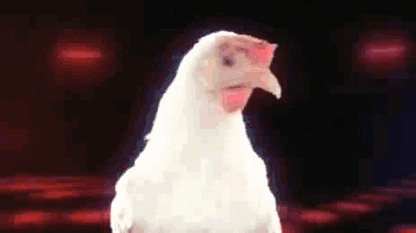 Chicken Prices