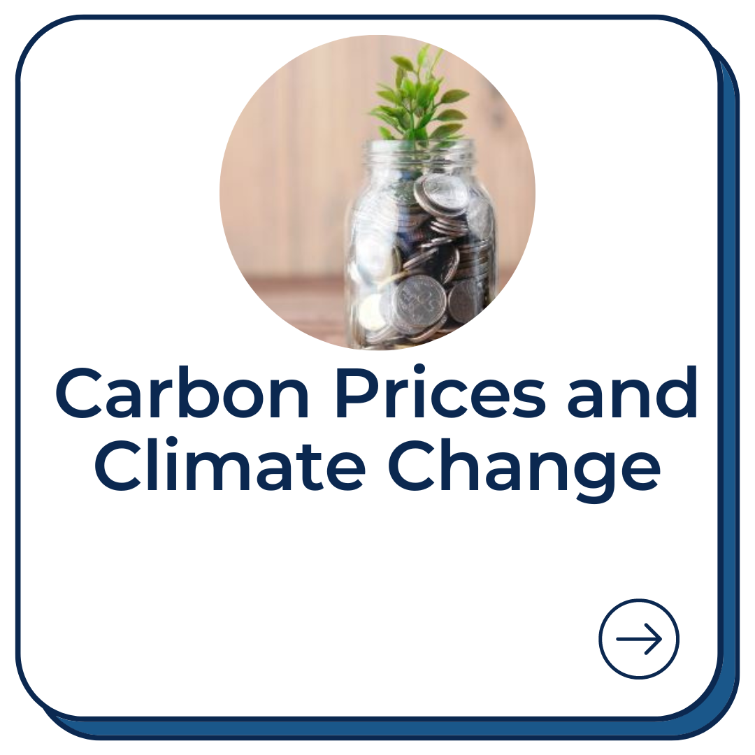 Carbon Prices and Climate Change