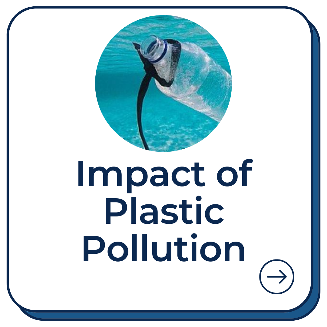 plastic-pollution-lesson-plans-subjecttoclimate