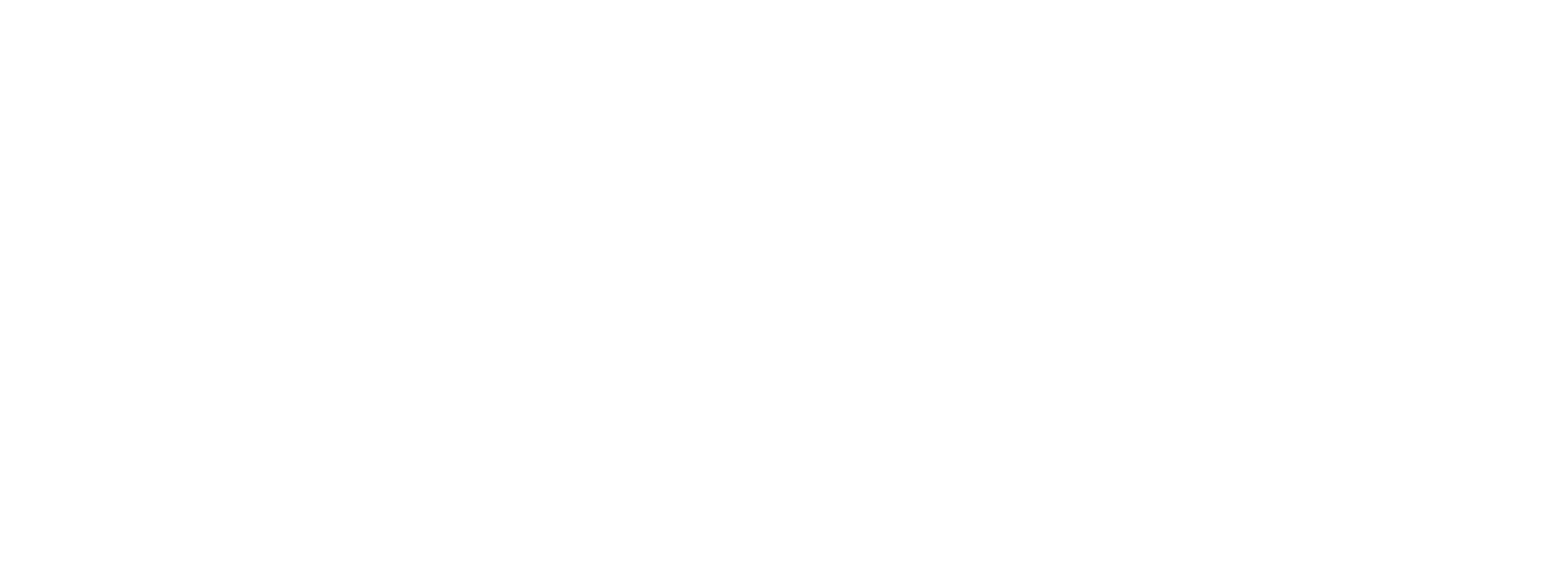 Logo Paceholder