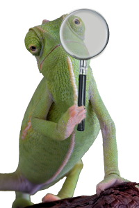 I'm an image