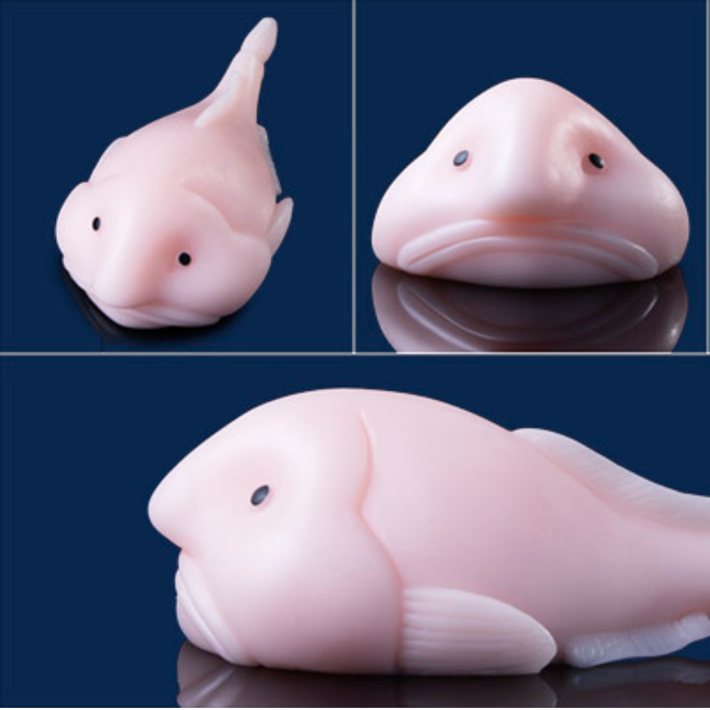 Blobfish Squishy