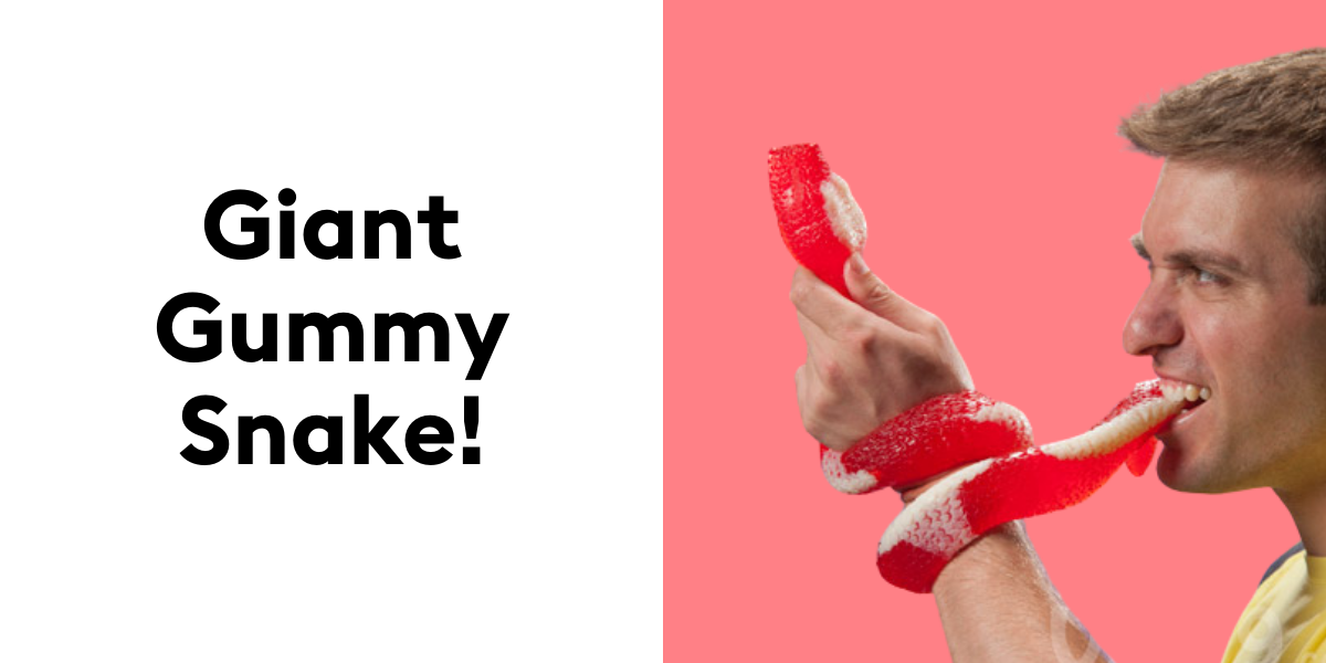 Giant Gummy Snake!