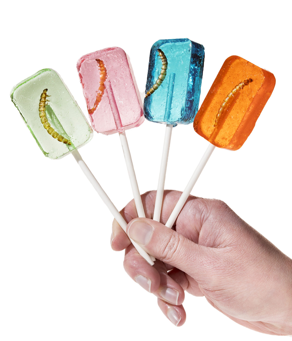 Worm Lollipop Sucker