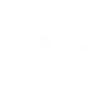 ALLY logo ALLY logo