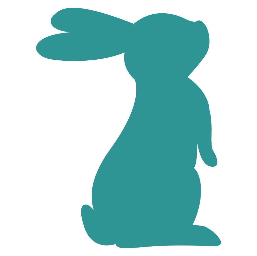 Bunny illustration