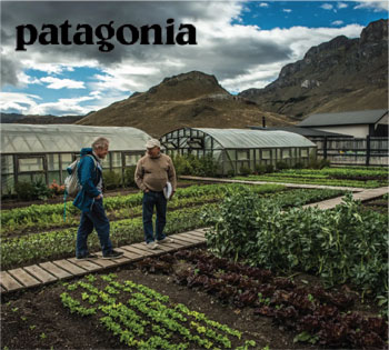 patagonia logo and garden image