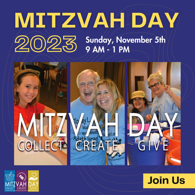 Mitzvah Day