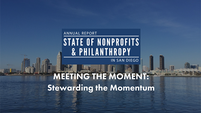 Nonprofit Institute Report