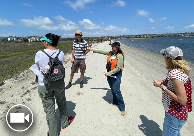 Image of faculty observing the San Diego River