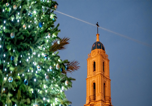 Christmas Tree Lighting