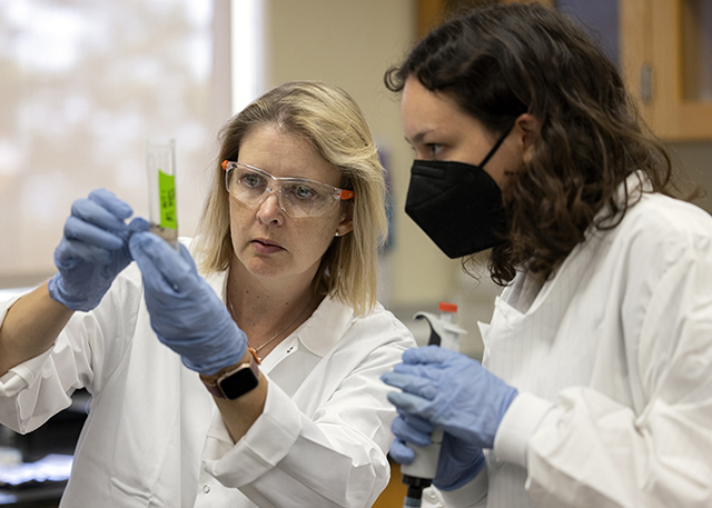 A student and professor conduct lab research