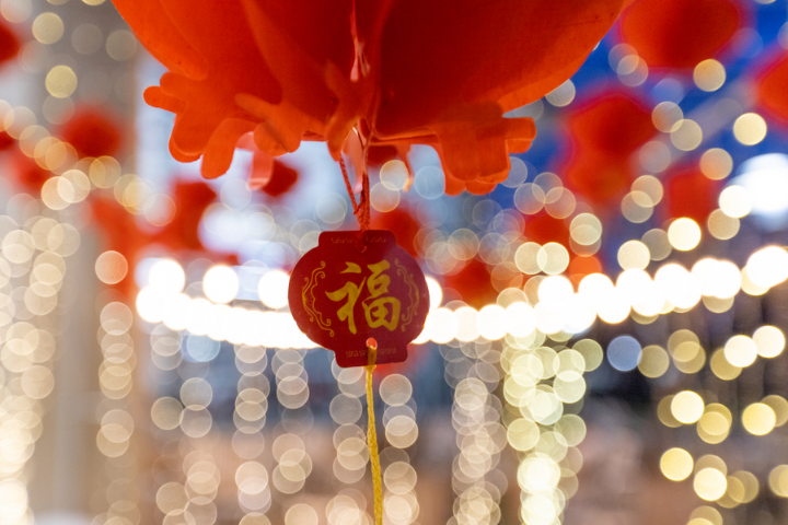 Lunar New Year Celebration