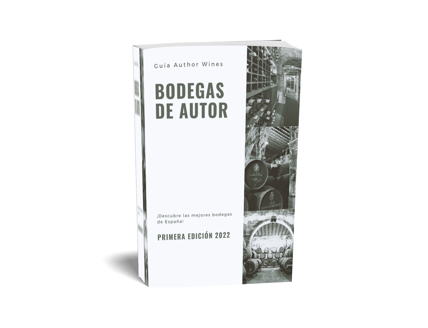 eBook Cover Placeholder