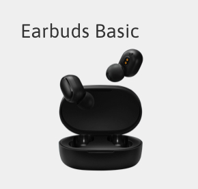 Earbuds Basic