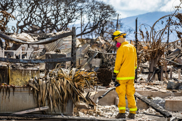 Maui fires