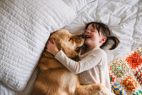 Dog and young girl on bed