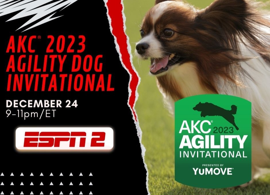 AKC.tv