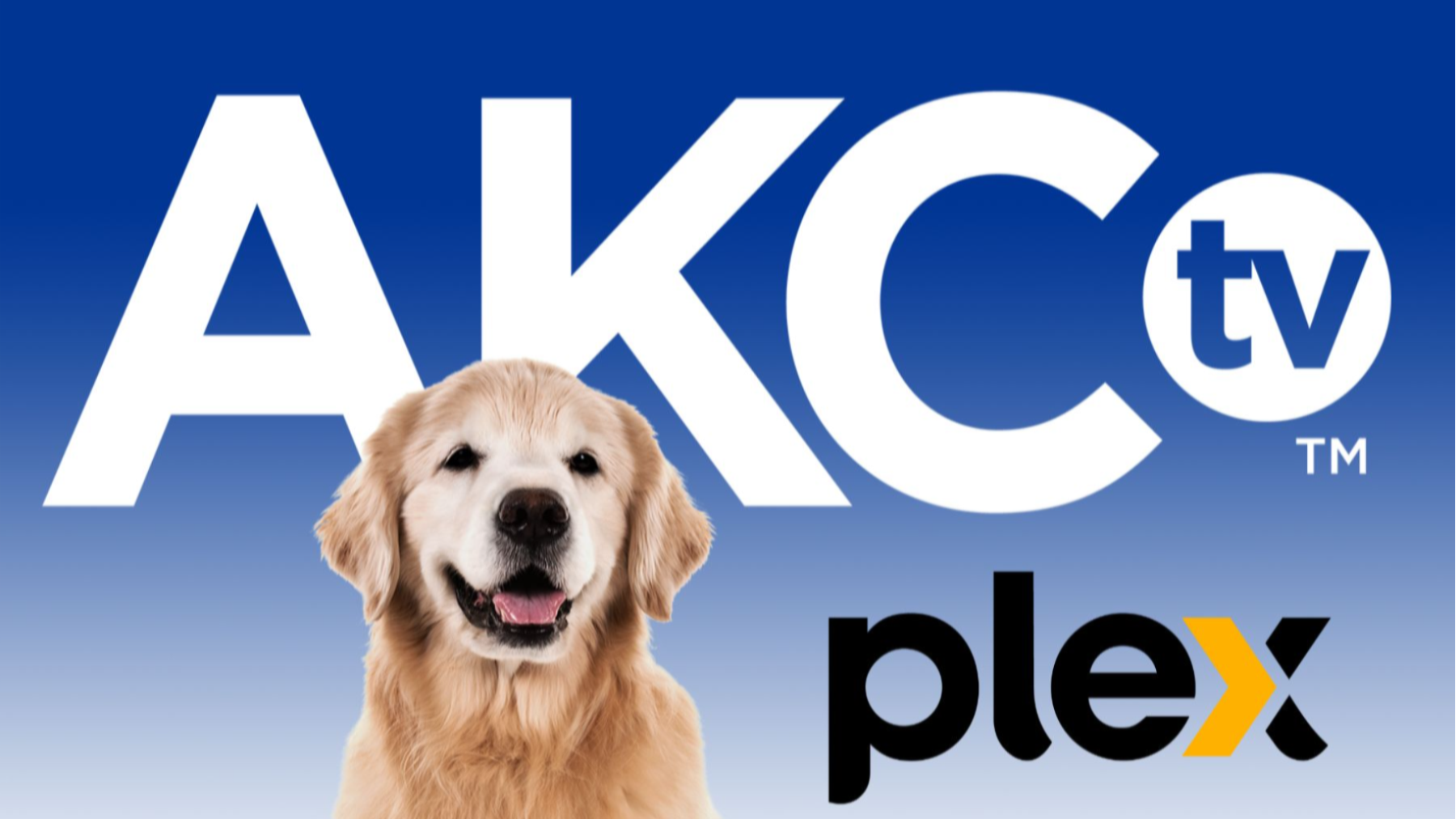Plex TV