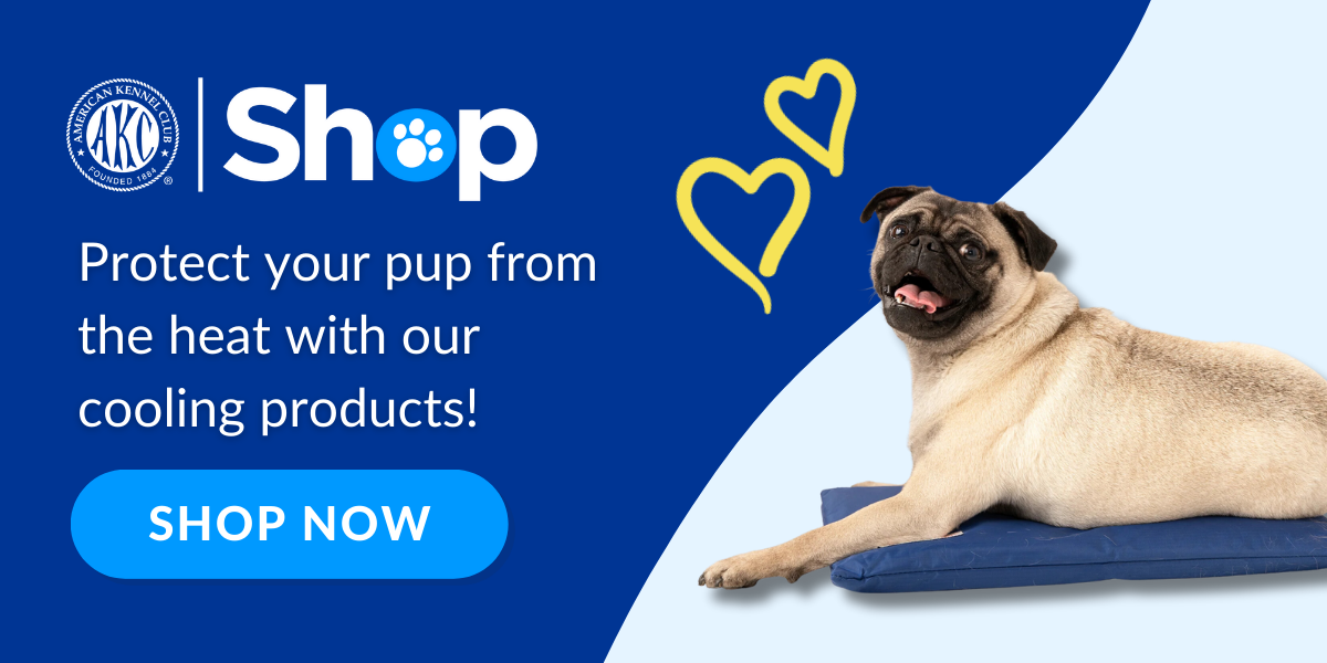 Beat The Heat with AKC Shop's cooling products!
