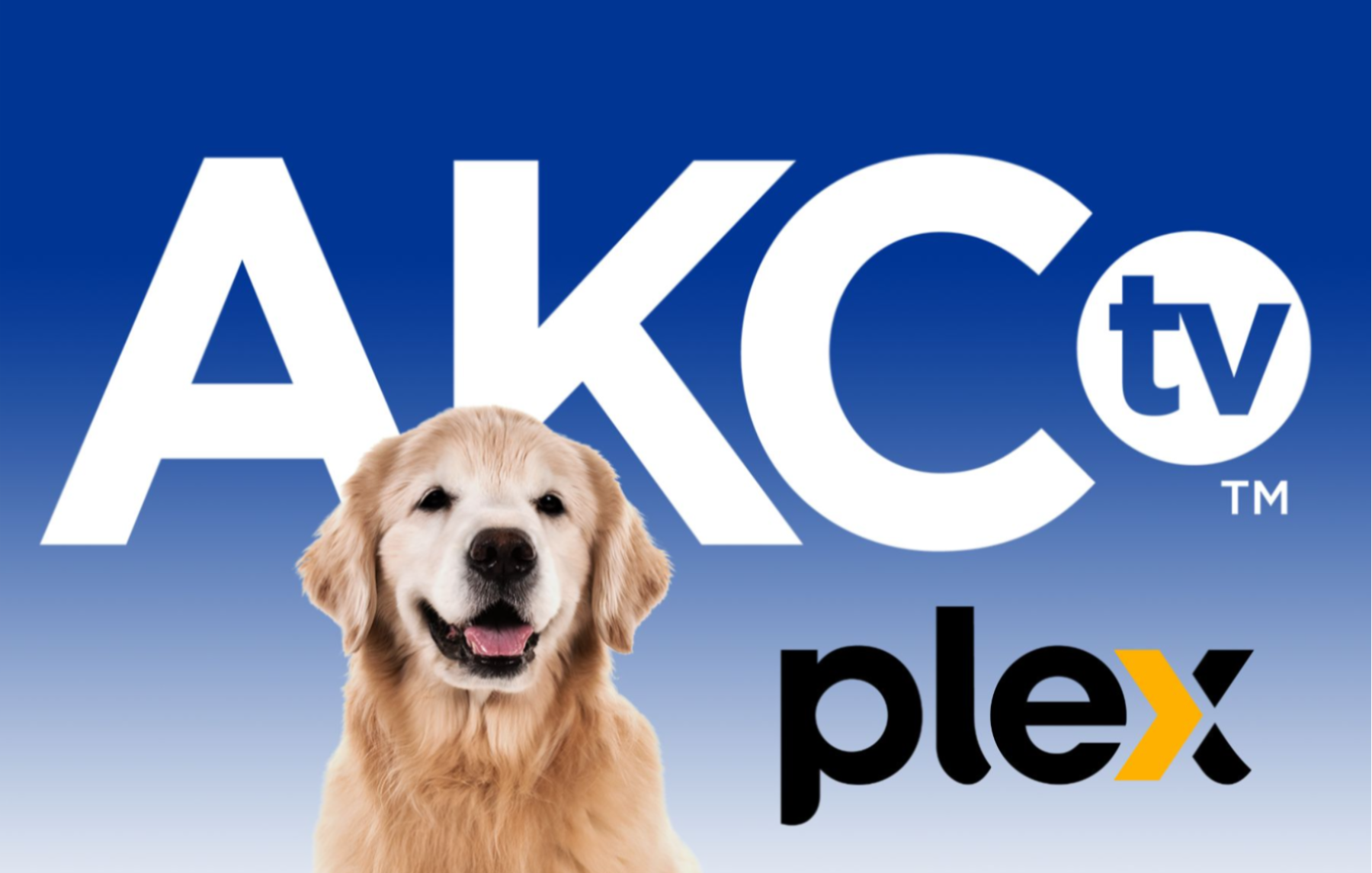 AKC.tv
