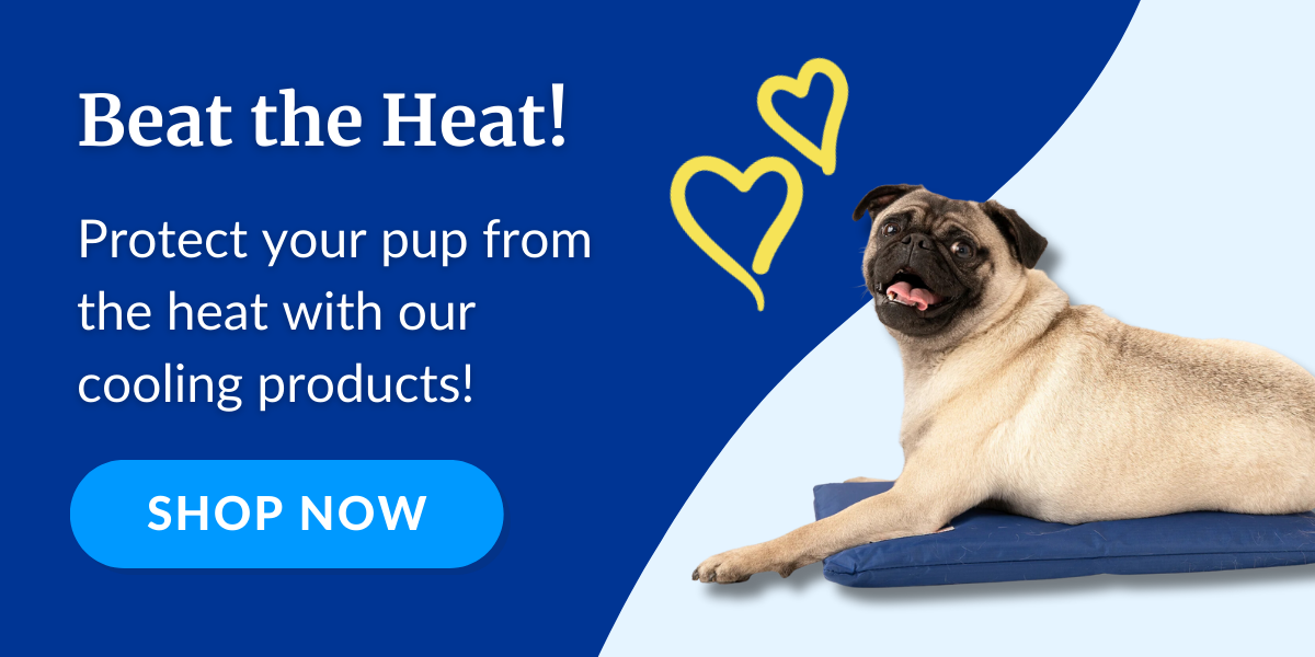 Shop Cooler Dog Cooling Products