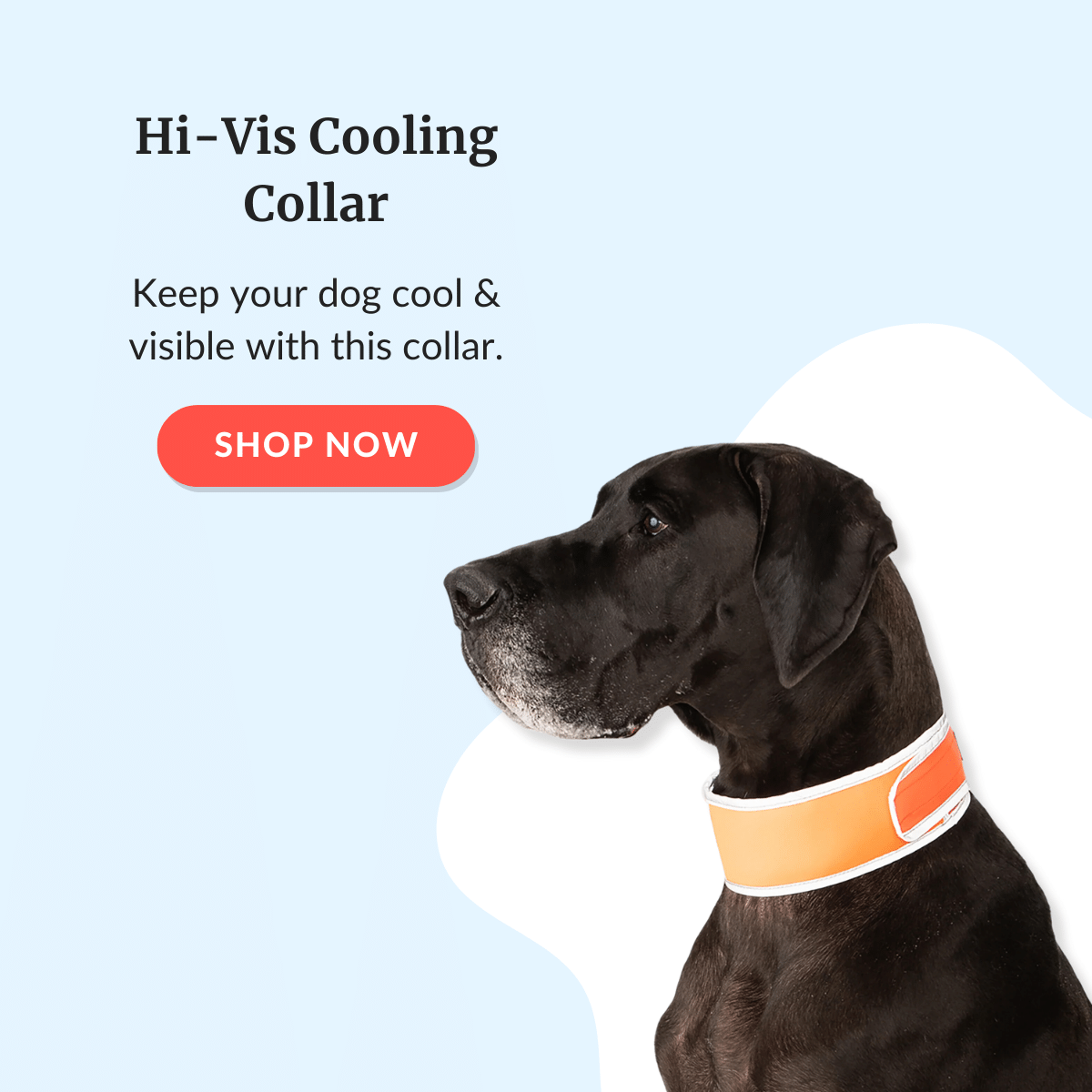 Shop Cooling Collars