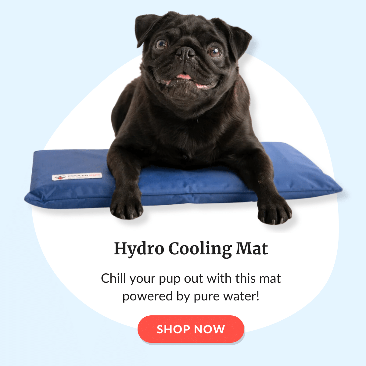 Shop The Hydro Cooling Mat