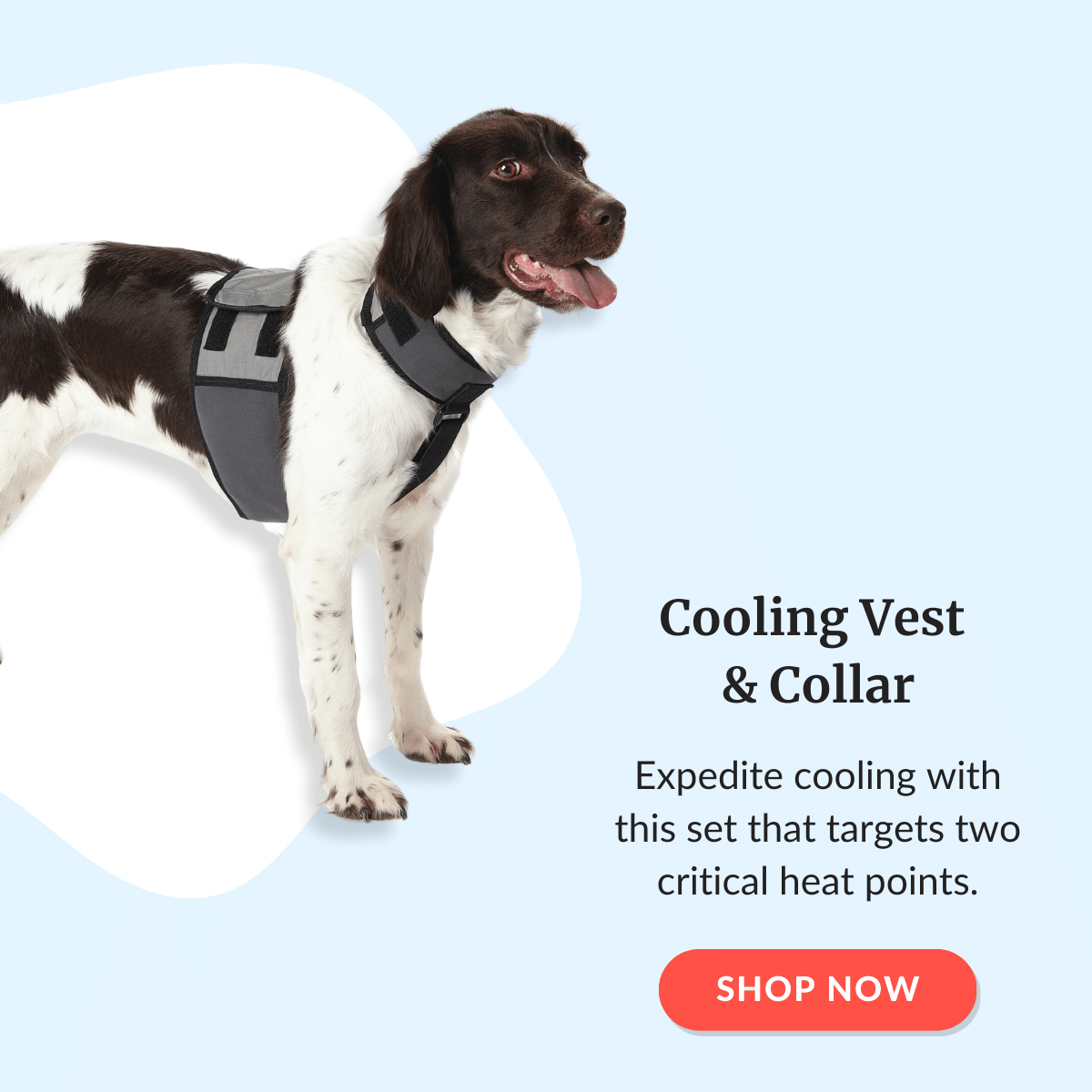 Shop Cooling Vests & Collars