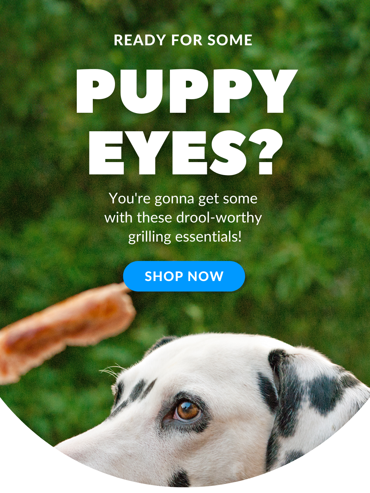 Shop drool-worthy grilling essentials!