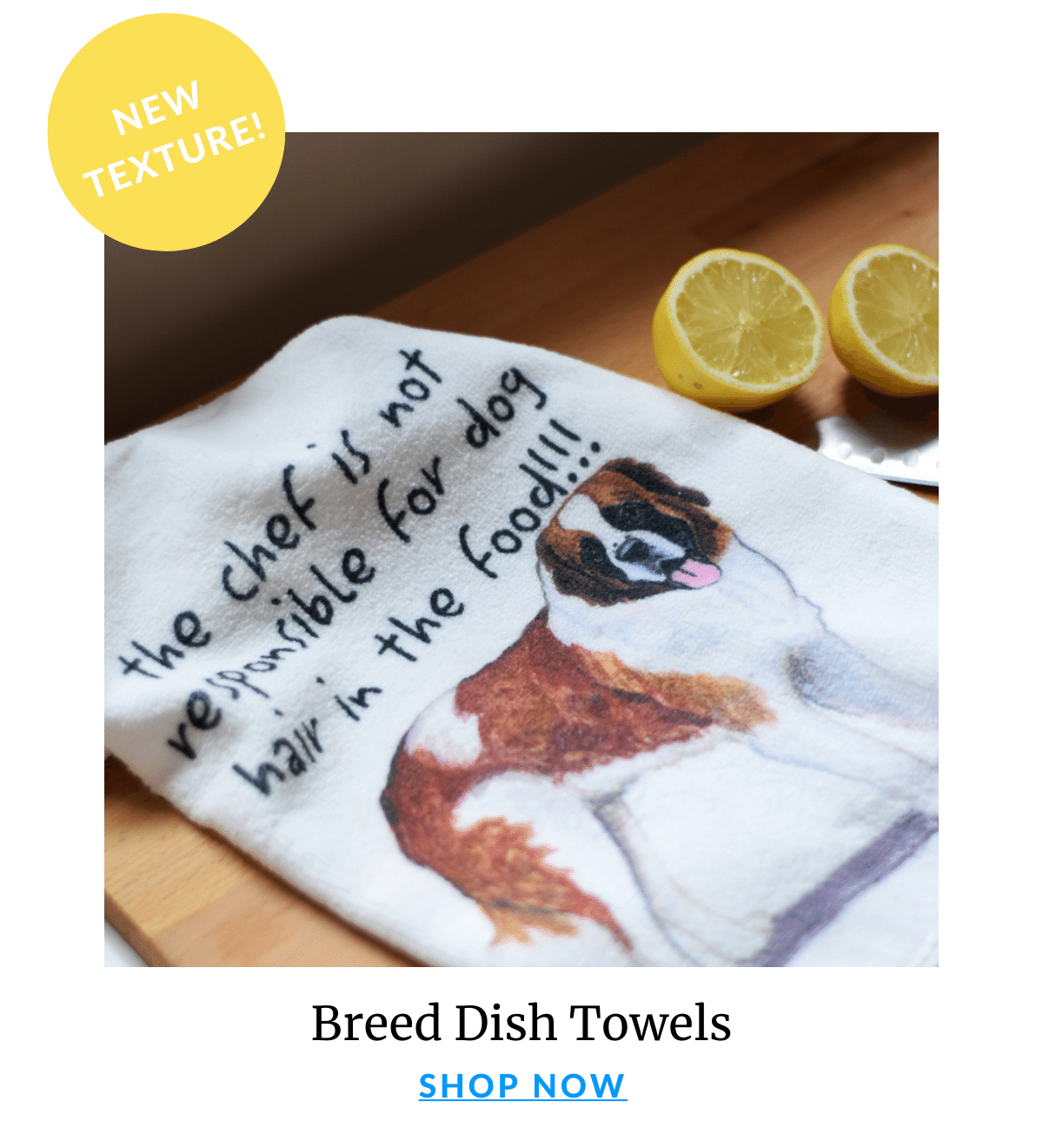 Shop Dish Towels