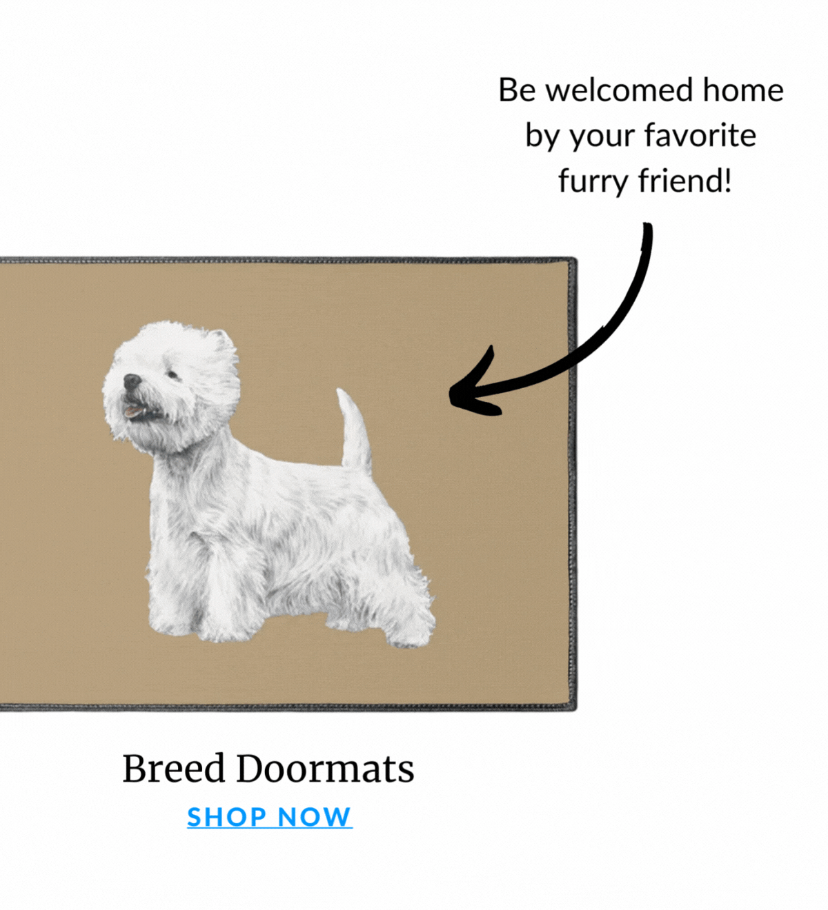 Shop Welcome Mats