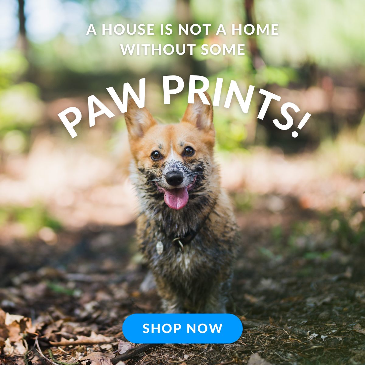 Shop NEW Home & Kitchen