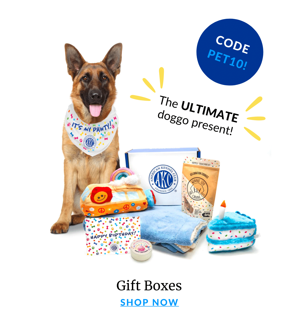 Shop Gift Boxes