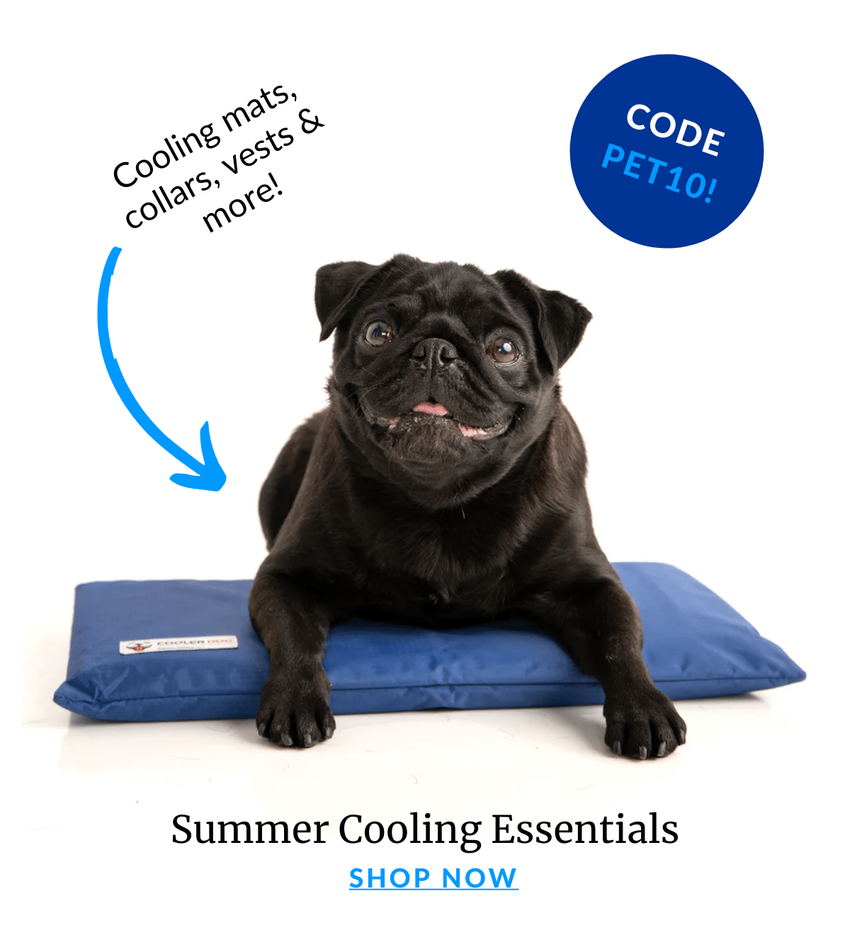 Shop Cooler Dog