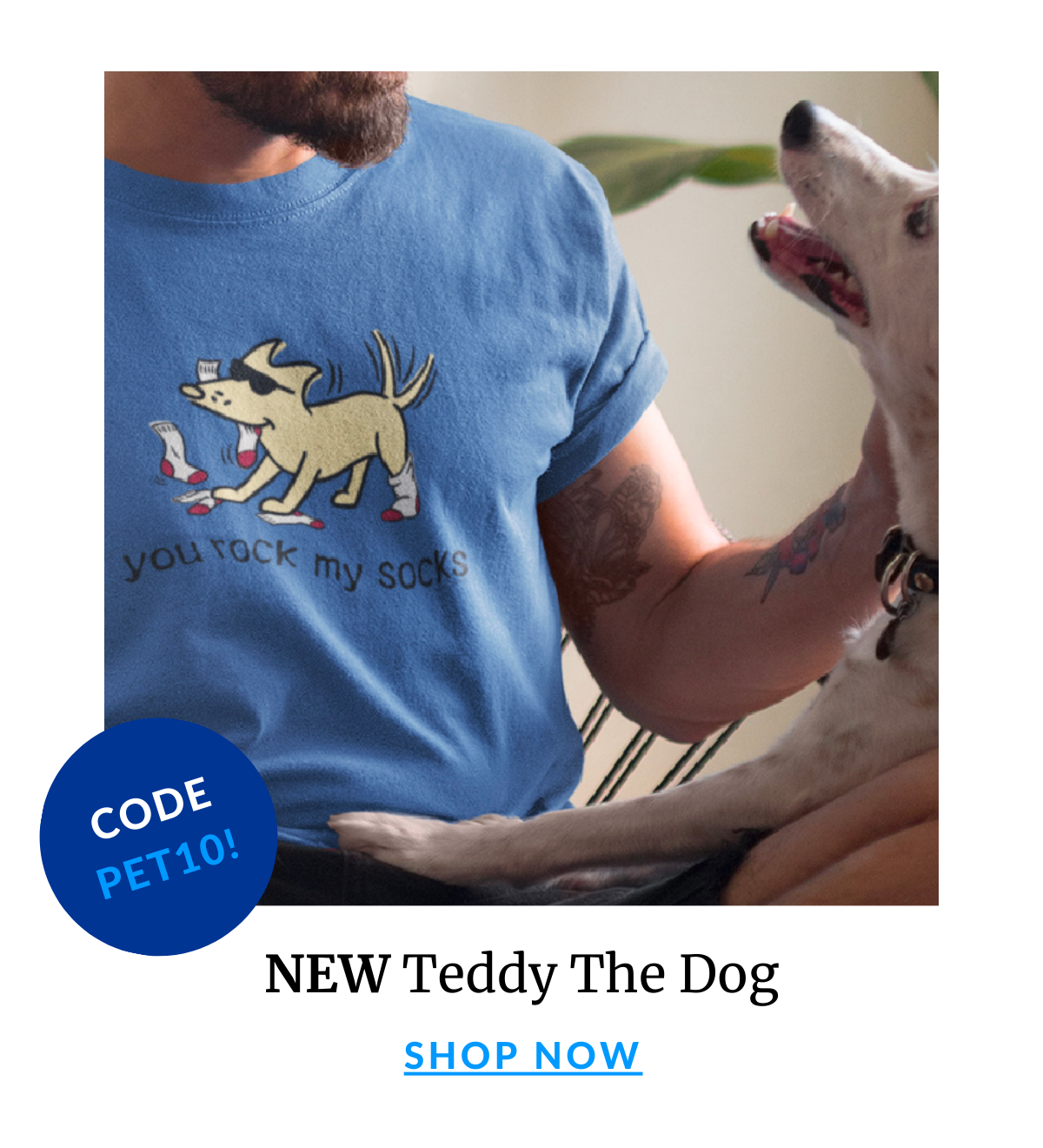 Shop Teddy The Dog