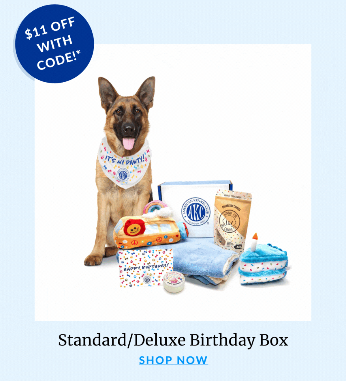 Shop The Birthday Box