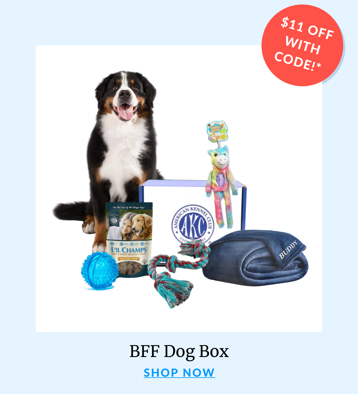 Shop The BFF Box