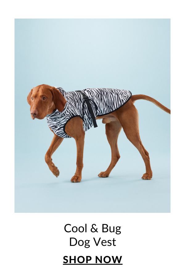 Shop Paikka's Cool & Bug Dog Vest